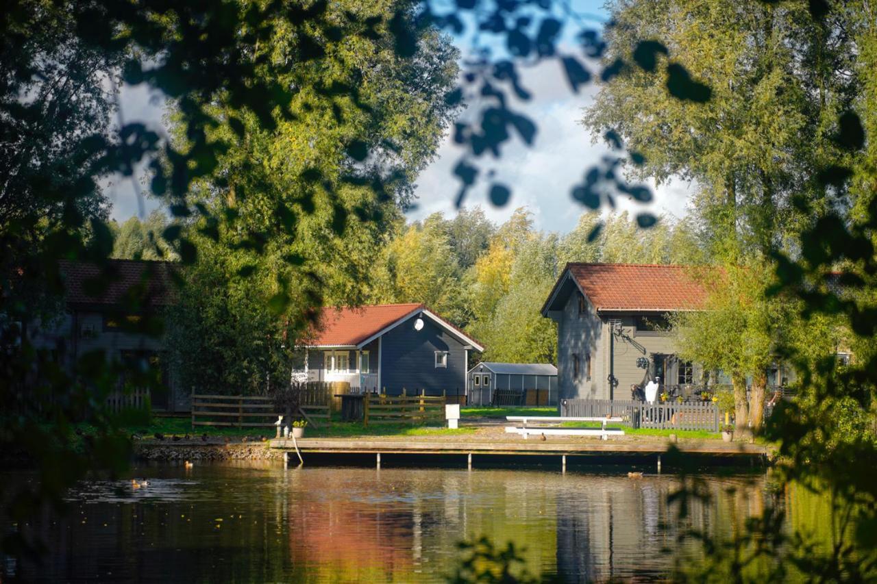 Scandinave 92 * Bourbourg